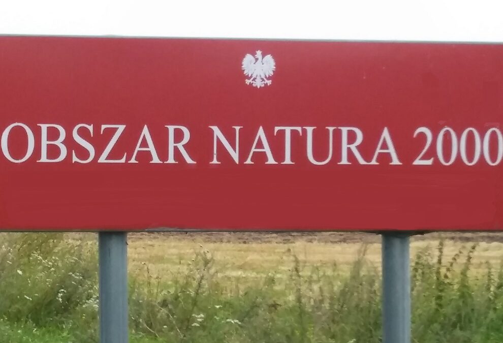 Po posiedzeniu Zespołu ds. Energii, Klimatu i Środowiska